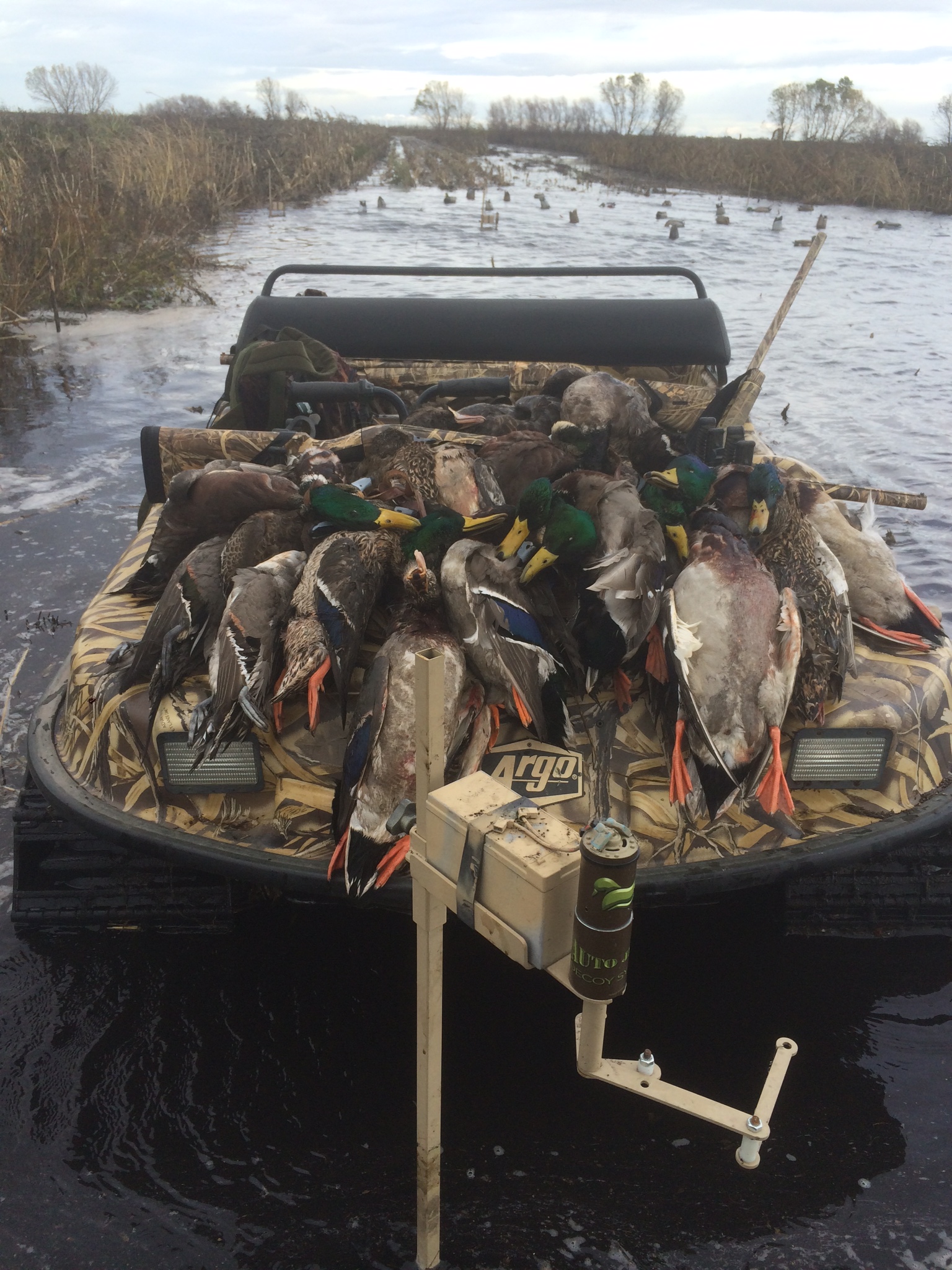 Auto Jerk Decoy System Photo Album